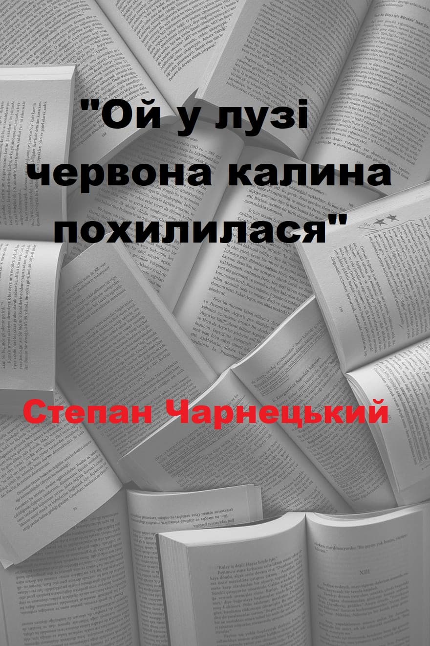 Майдан. (Р)Еволюція духу 📚 - Українською » Сторінка 77 » Читати книги  онлайн безкоштовно українською | Knigoed.Club